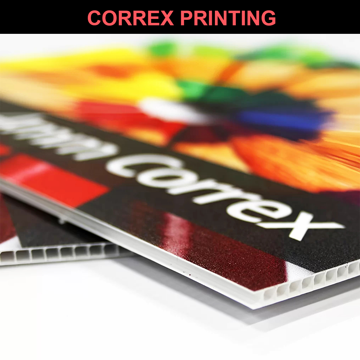 Correx Board Printing